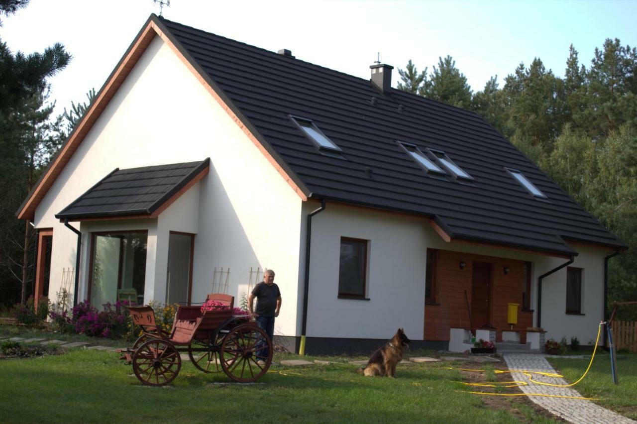 Koci Grzbiet Agroturystyka Dzierzazno Wielkie Ngoại thất bức ảnh